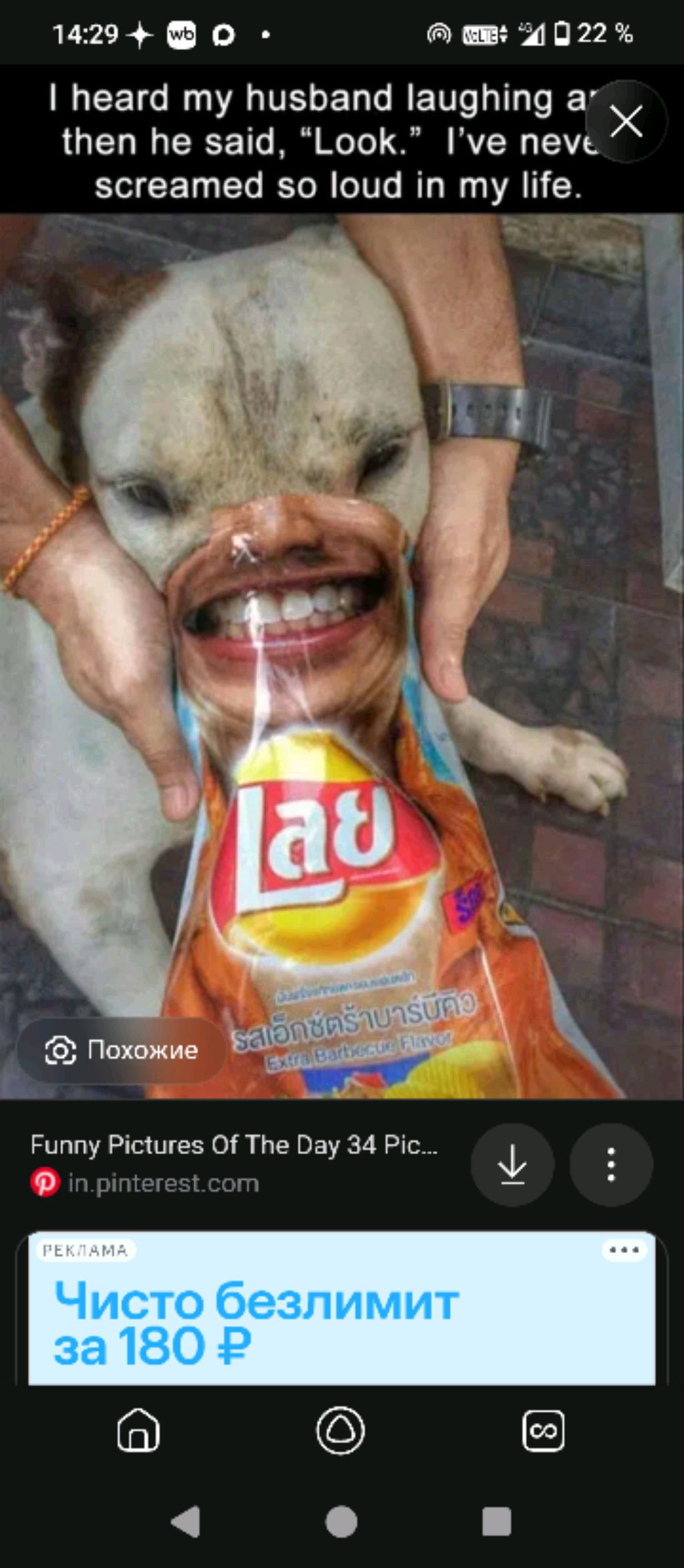 стрим про жизнь