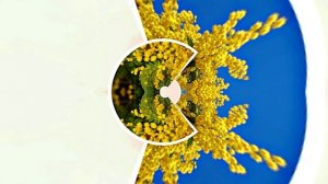 Весна! Мимозы для моей очаровательной ЗАНОЗЫ 3! Киностудия Мудрого Кота Тимофея!