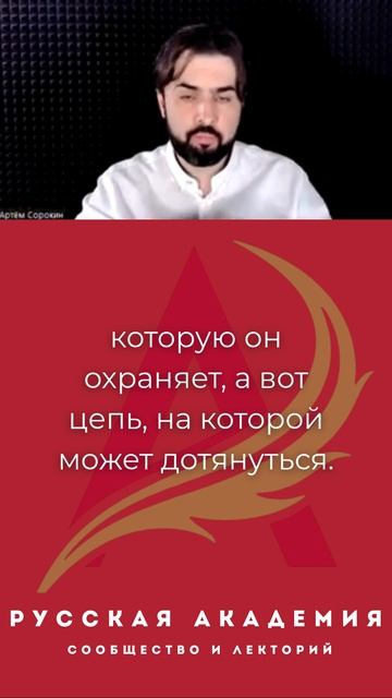 Ты волк или цепнои пес?