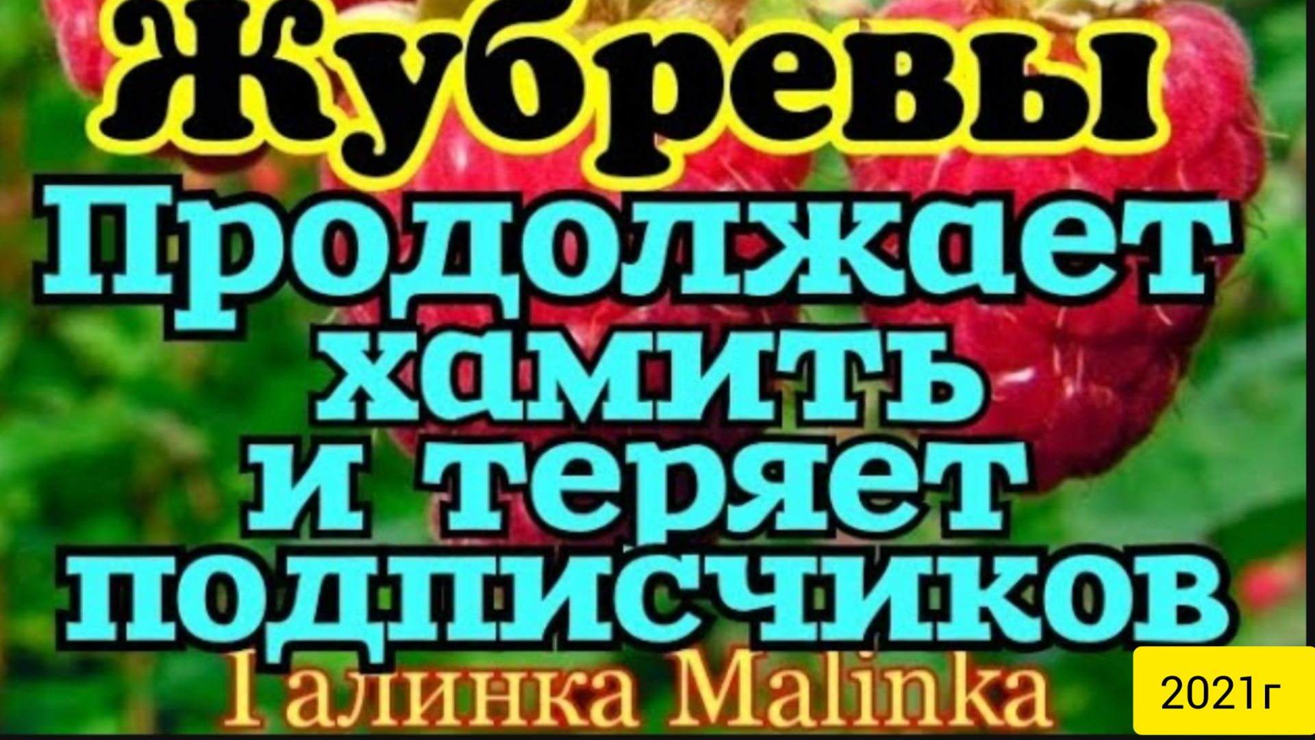 Жубревы Life Vlog _Обзор Влогов _Отписываются подписчики из-за хамского поведения __