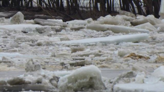 Ледоходный сезон