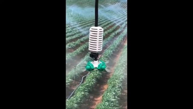 Agro Rain  Fogger Туман