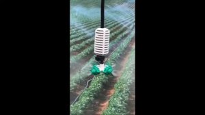 Agro Rain  Fogger Туман