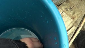 ЦВЕТУЩИЙ АПРЕЛЬ