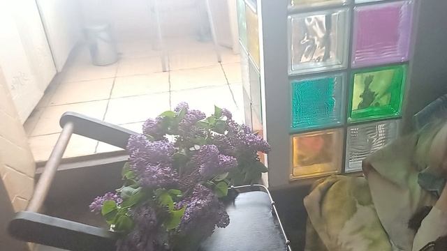 Чернобаева Людмила Павловна 20.04.2026г. смотрит фильм Феномен и букет Сирени.