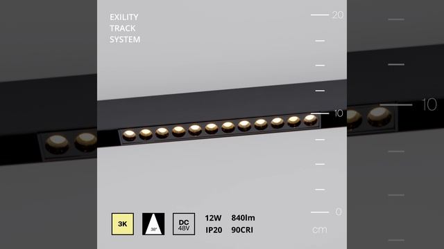 Светильник Maytoni Exility Points TR031-2-12W3K-B