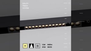 Светильник Maytoni Exility Points TR031-2-12W3K-B