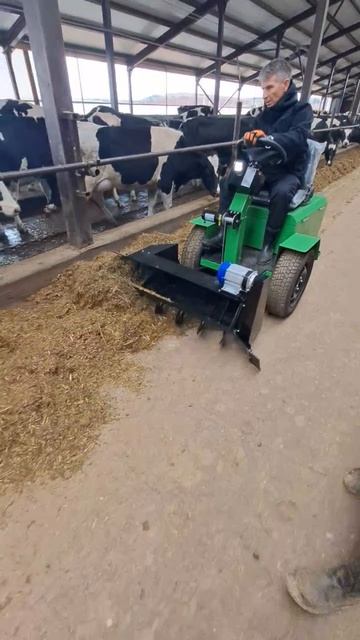 Республика Татарстан. Балтасинский район. ООО Арбор