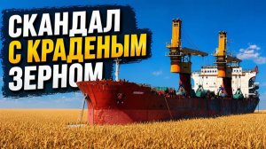 Зерно раздора Украина обвинила Израиль в покупке у России краденого украинского зерна