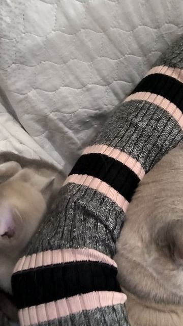 Чем вам не дети? 