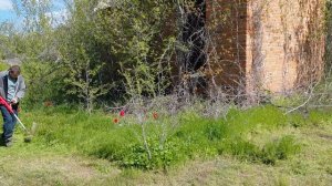 27.04.26 дача. Наша улица, прогулка.