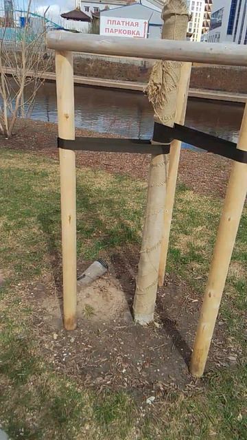 29-04-2026 автополив дерева