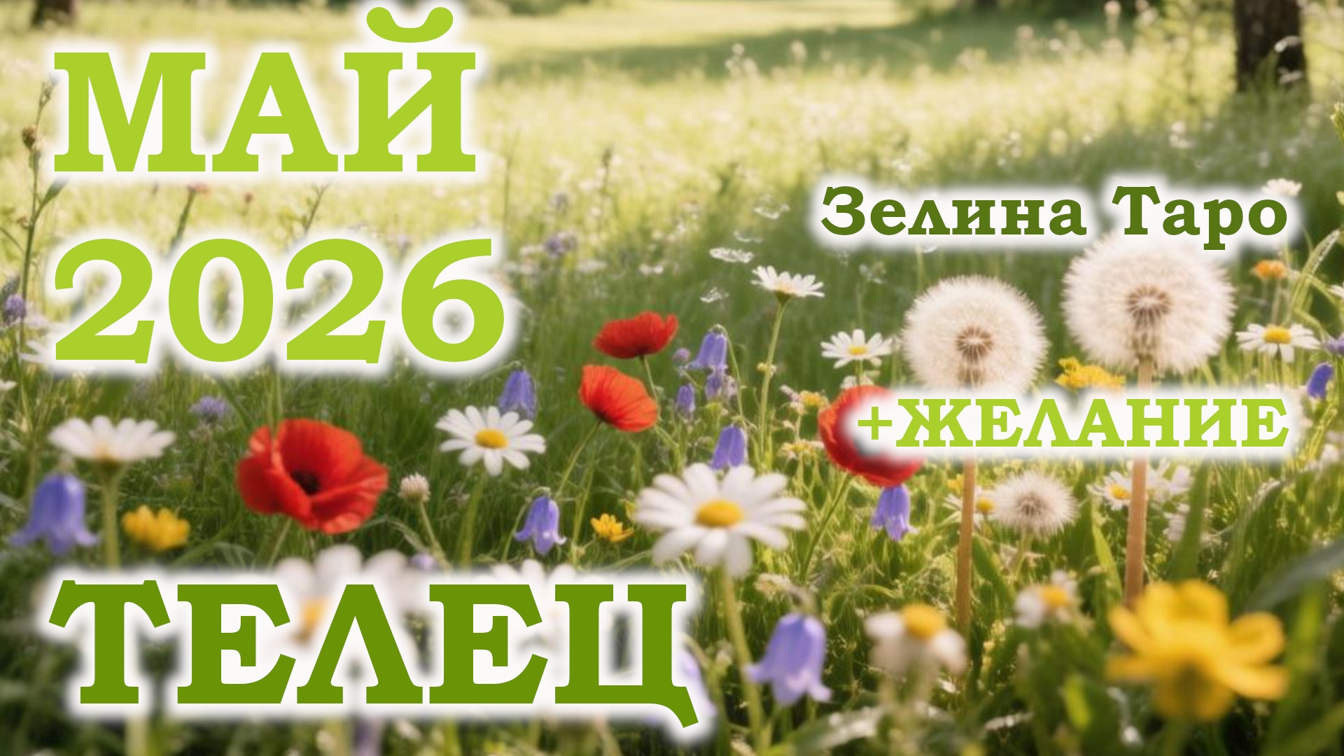 ТЕЛЕЦ  ТАРО прогноз на МАЙ 2026 года  Желание  Расклад таро