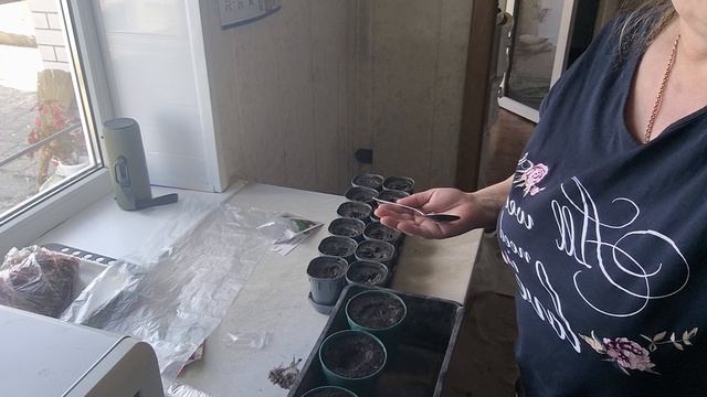 Неужели я это сделала. Новости с клиники. Полезная еда 