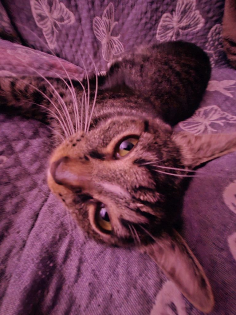 хз че писать