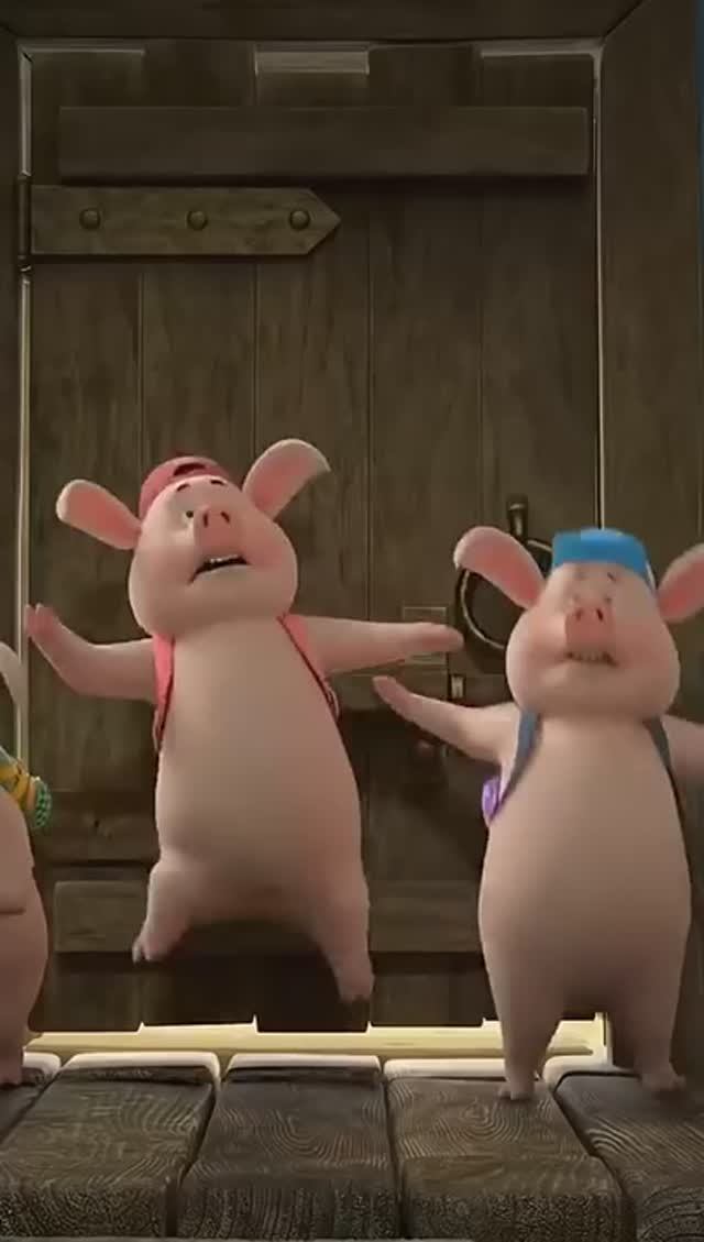 Кто разозлил свинку! 🐷😠