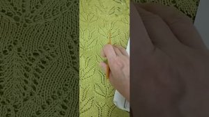 Тюльпановый рай