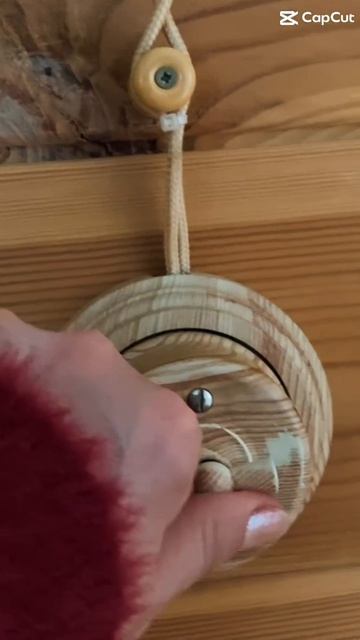 Свой дом возле станции наземного метро!