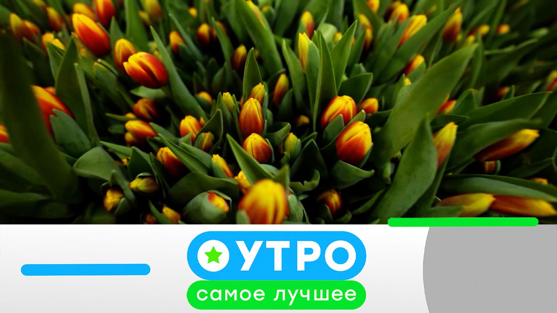 «Утро. Самое лучшее». 29 апреля 2026 года