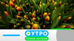 «Утро. Самое лучшее». 29 апреля 2026 года