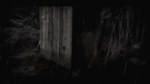 ЧТО-ТО ПРИХОДИЛО ЗА МНОЙ.. Страшные истории на ночь.