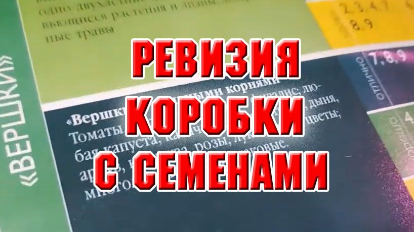 Ревизия коробки с семенами из архива