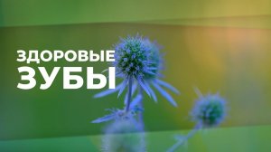 Здоровые и крепкие зубы. Восстановление зубов | Саблиминал