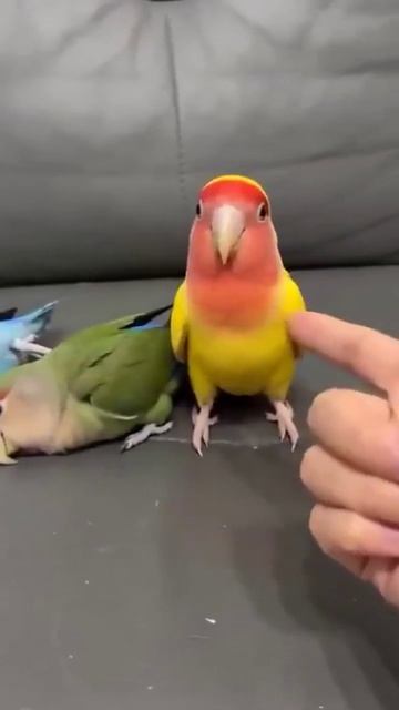 Video_2026-04-29_23-01-14