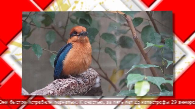 29.04.2026 Мировые новости