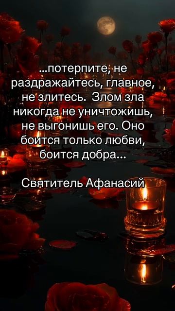 Цитаты