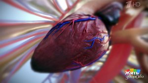 Когда сердце остановилось: невероятная история. Жить здорово! Фрагмент выпуска от 29.04.2026