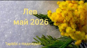 Лев ♌, май 2026
