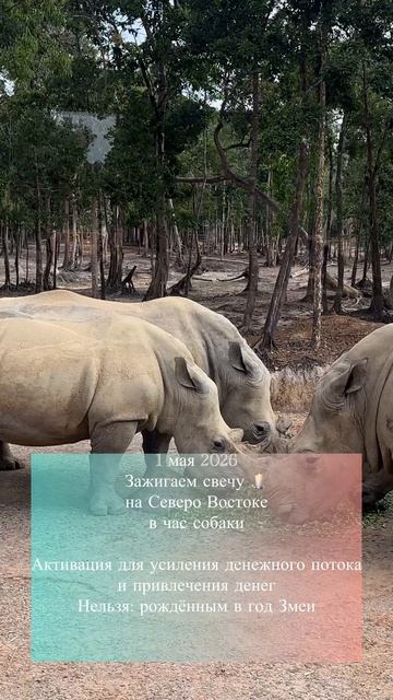 Активация 1 мая