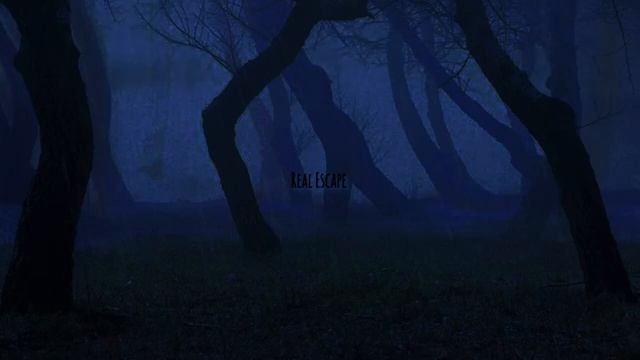 доброй ночи, пап, люблю тебя