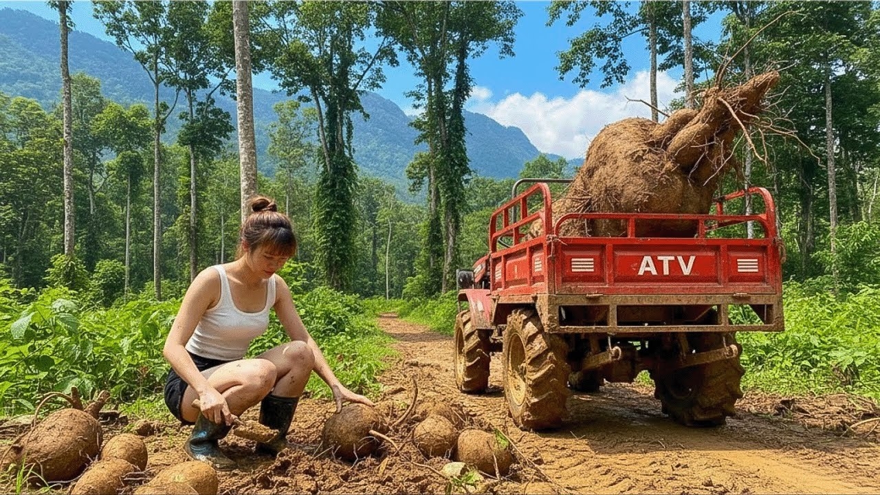 Собираю урожай картофеля и лайма в лесу и везу его на рынок продавать. Серия 2