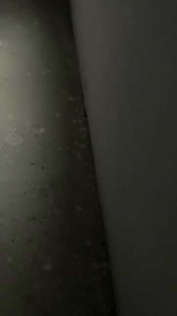 DEMONIKA | Всегда говори да