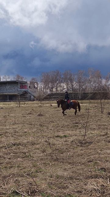 Оксана Новикова и Эмбер Грейс Кас, облегченная рысь.