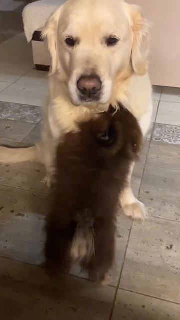 Мне бы такие невры