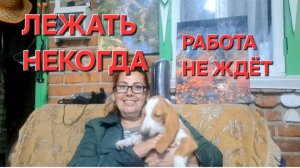 1204 Нужно лежать а Некогда. Работа не отпускает.Сад и огород не ждёт.