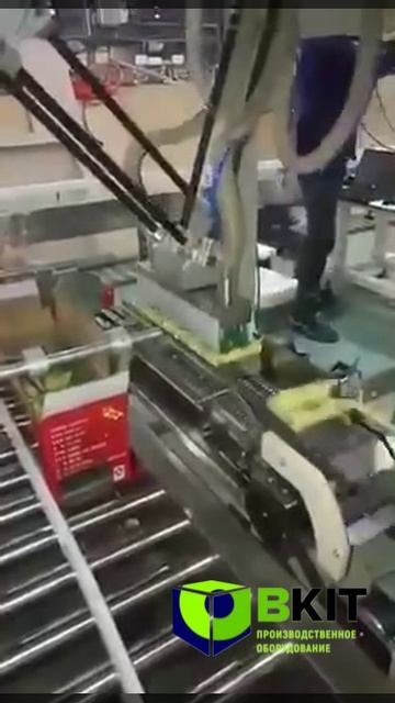 Кейспакер (картонатор) с серво-транспортёром набора группы пакетов и трипод-укладчиком группы сверху