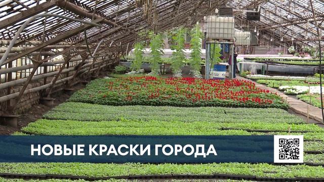 Нижнекамские цветоводы готовятся украсить город тысячами цветов
