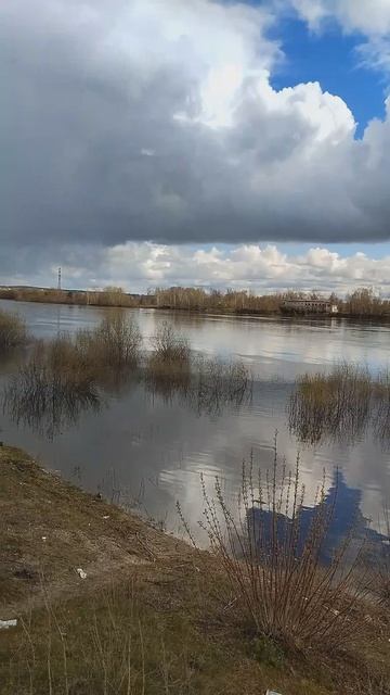 Убывание воды.29.04.2026г.р.Ока.