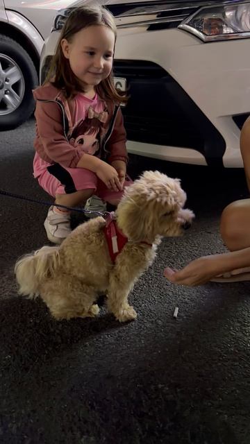 Послушный песель 