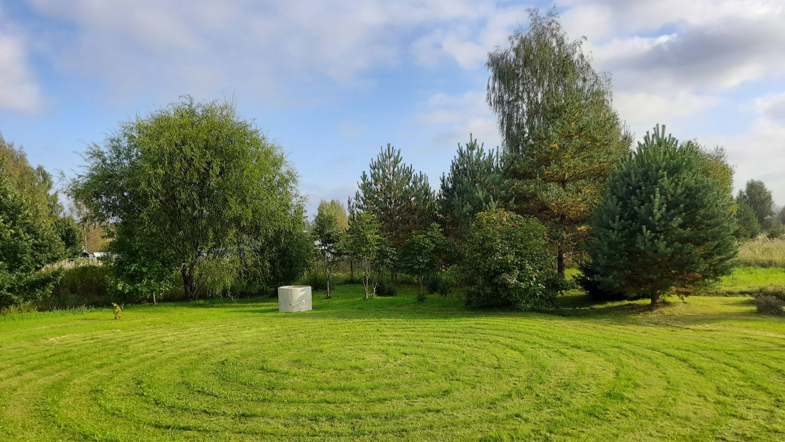 Памятник который будет расти