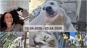 Весна, прогулка и Библионочь 2026