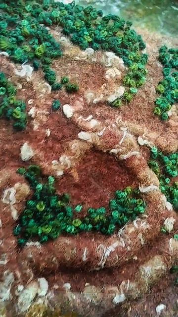 сумка Древо жизни.