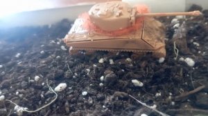 диорама кв2 и шермен