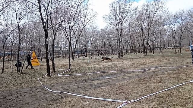 3 Отл. ЖЕРОМ из Сибирских Афин Лучшая защита! №16. КОМСОМОЛЬСК-НА-АМУРЕ 26 апреля`26 Моно н/о