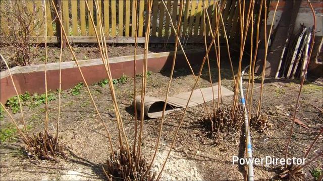 Весенний огород. Обзор участка при доме в Башкирии.г.Белорецк.