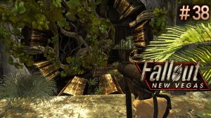 Убежище 22. Fallout New Vegas (Хардкор) # 38